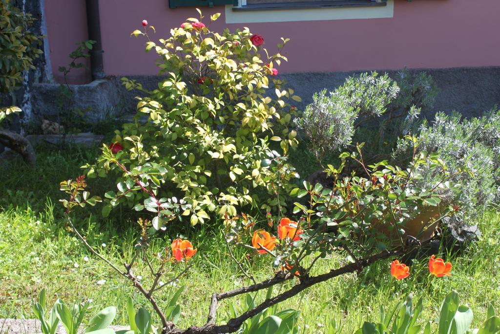 Le Ginestre Leilighet Levanto Rom bilde